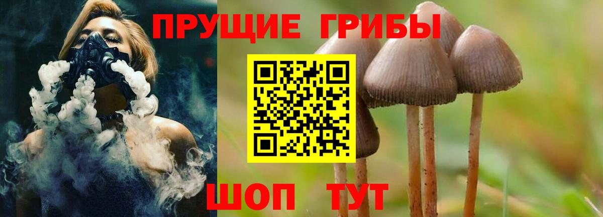 Галлюциногенные грибы MAGIC MUSHROOMS Назрань